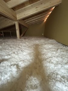 天井のもこもこ