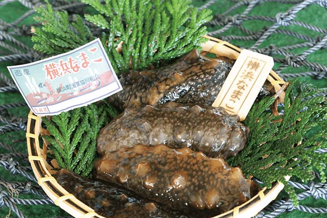 姿、かたちは置いといて(笑)コリコリうまい!「横浜なまこ」